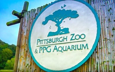 Pittsburgh Zoo Transformer